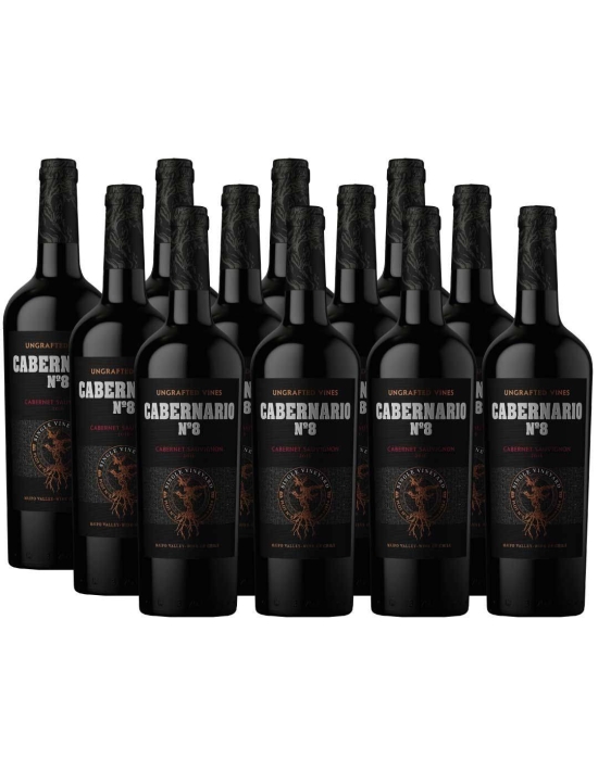 Pack 12 Cabernet Sauvignon, Gran Reserva, Cabernario 8
