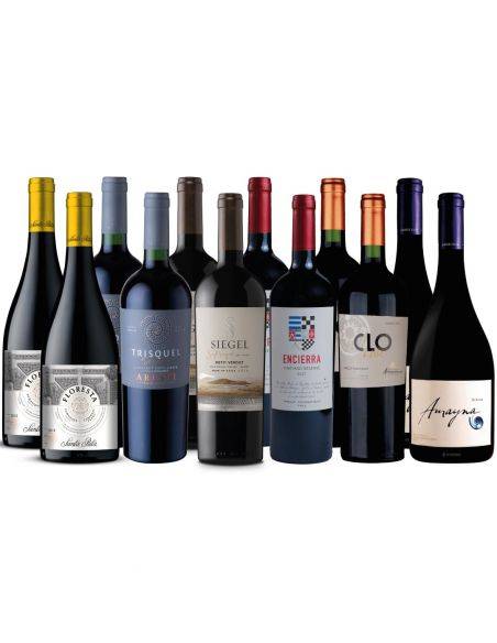 Pack 12 Descubre Premium 2!