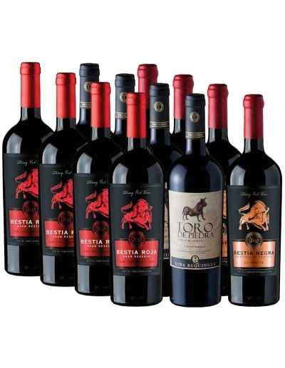 Pack 12 Bot Requingua Gran Reserva