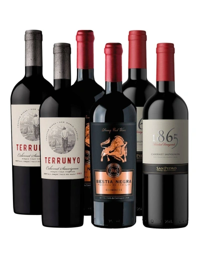 Pack 6 bot Premium, 1865, Terrunyo, Bestia Negra