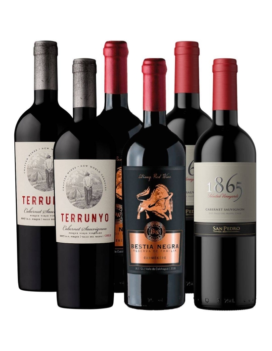 Pack 6 bot Premium, 1865, Terrunyo, Bestia Negra