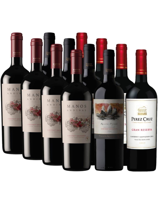 Pack 12 Cabernet Sauvignon Perez Cruz, Puente Austral y Manos Andinas