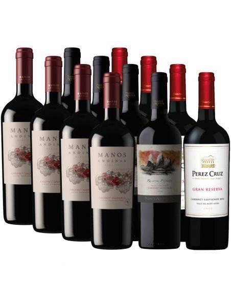 Pack 12 Cabernet Sauvignon Perez Cruz, Puente Austral y Manos Andinas