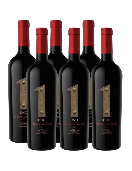 Pack 6 Cabernet Sauvignon, Premium, Uno, Valle de Uco, Viña Antigal, Argentina