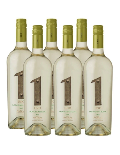 Pack 6 Sauvignon Blanc, Premium, Uno, Valle de Uco, Viña Antigal, Argentina