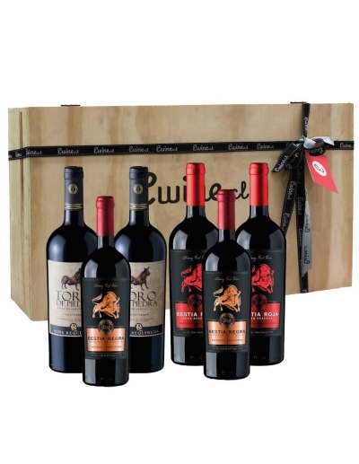 Pack Maleta de Madera 6 vinos Requingua
