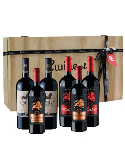 Pack Maleta de Madera 6 vinos Requingua
