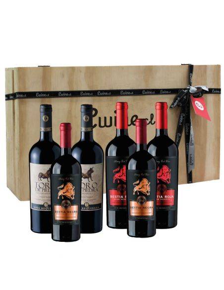 Pack Maleta de Madera 6 vinos Requingua