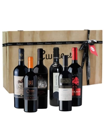 Maleta 6 vinos mix tintos Gran Reserva - Premium