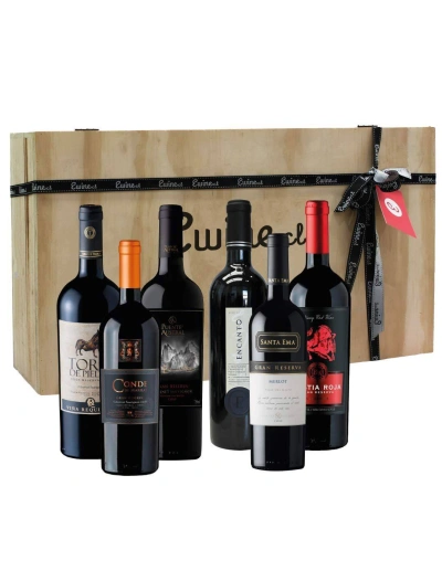 Maleta 6 vinos mix tintos Gran Reserva - Premium
