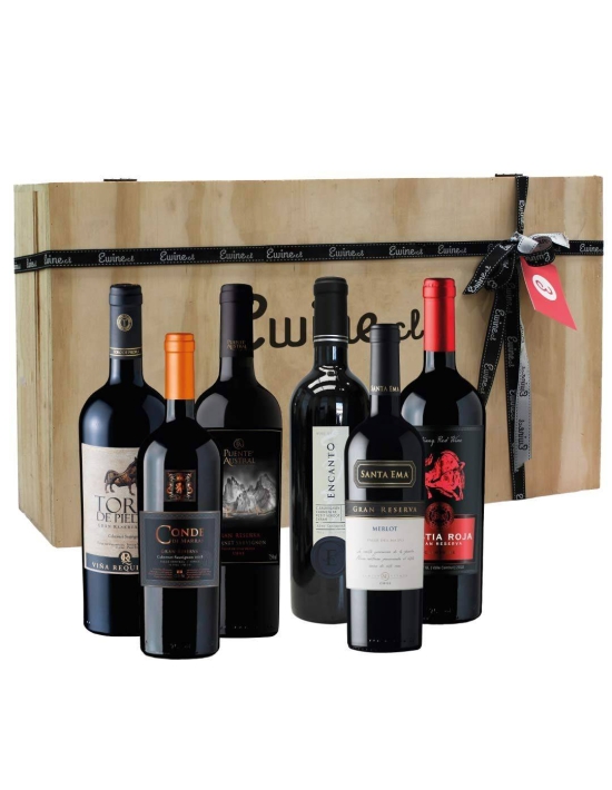 Maleta 6 vinos mix tintos Gran Reserva - Premium