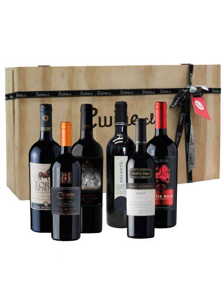 Maleta 6 vinos mix tintos Gran Reserva - Premium