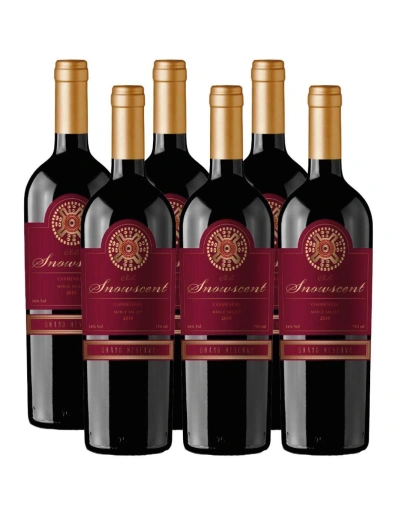 Pack 6 Carmenere, Gran Reserva, Snowcent
