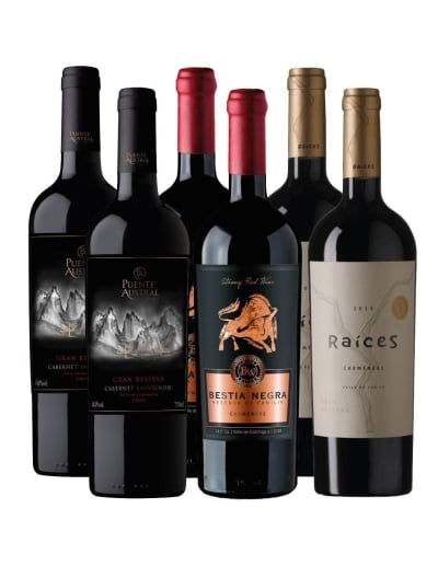 Pack 6 Bot, Mix Puente Austral, Raíces, Bestia Negra