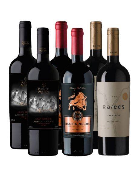 Pack 6 Bot, Mix Puente Austral, Raíces, Bestia Negra