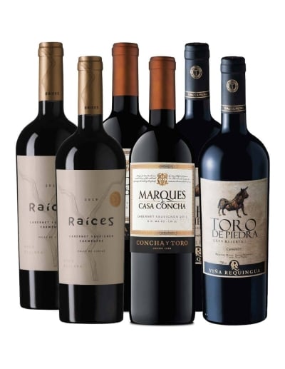 Pack 6 mix Marqués de Casa Concha, Toro de Piedra, Raíces