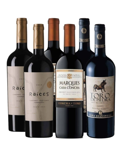Pack 6 mix Marqués de Casa Concha, Toro de Piedra, Raíces