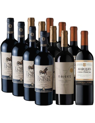 Pack mix 12 Marqués de Casa Concha, Toro de Piedra y Raíces