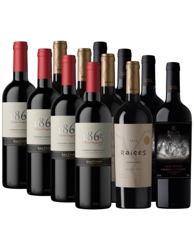 Pack 12 mix 1865, Raíces, Puente Austral