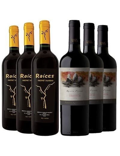 Pack 12 Vinos Puente Austral y Raices