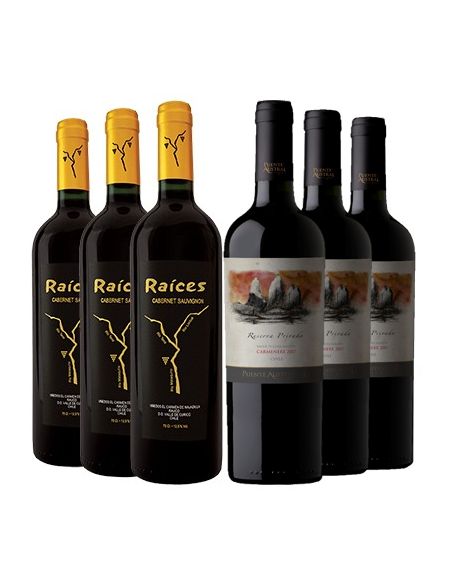 Pack 12 Vinos Puente Austral y Raices