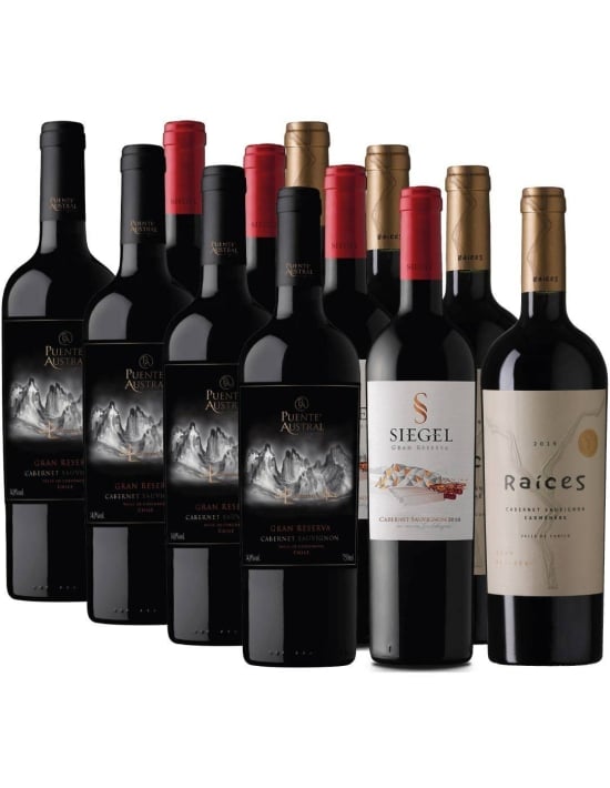 Pack 12 Cabernet Sauvignon Puente Austral, Siegel, Raíces