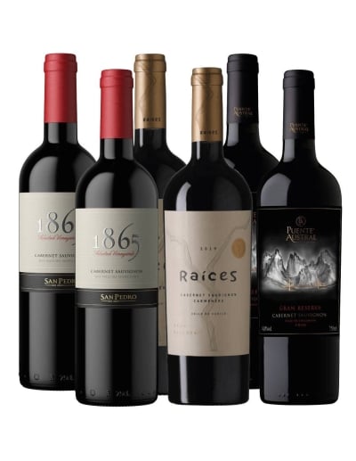 Pack 6 mix 1865, Puente Austral, Raíces