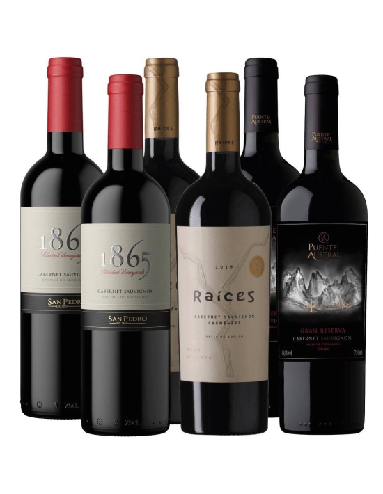 Pack 6 mix 1865, Puente Austral, Raíces