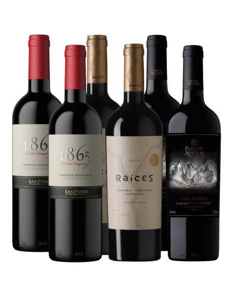 Pack 6 mix 1865, Puente Austral, Raíces