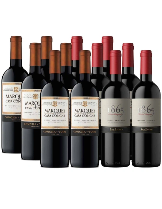 Pack 12 Cabernet Sauvignon Premium 1865 y Marques de Casa Concha