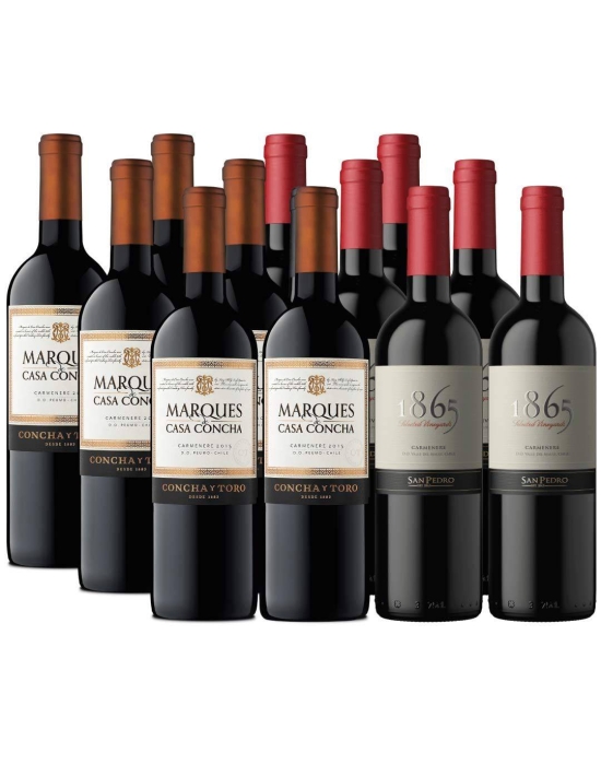 Pack 12 Carmenere Premium 1865 y Marques de Casa Concha
