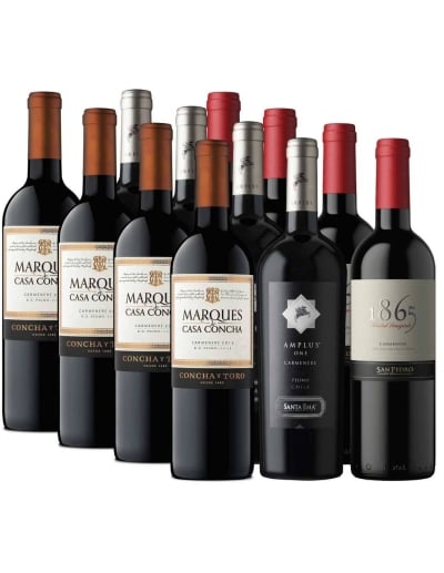 Pack 12 Carmenere Premium 1865, Marques de Casa Concha y Amplus