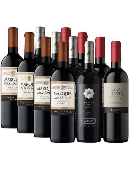 Pack 12 Carmenere Premium 1865, Marques de Casa Concha y Amplus