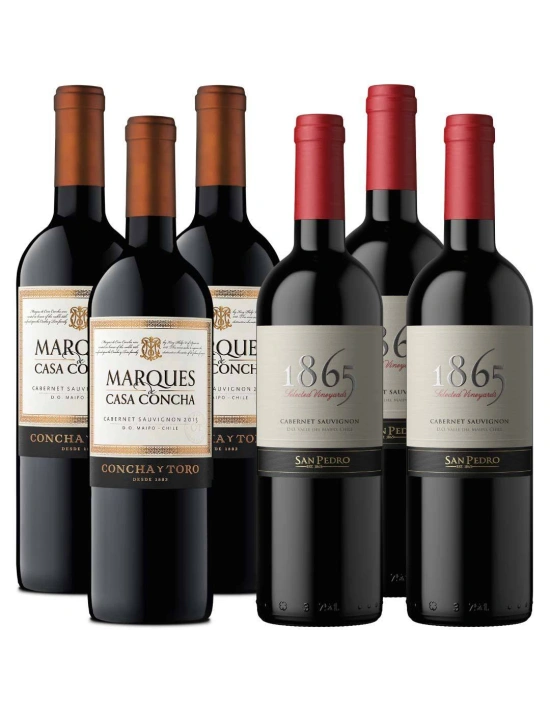 Pack Mix 6 Cabernet Sauvignon Premium 1865 y Marques de Casa Concha