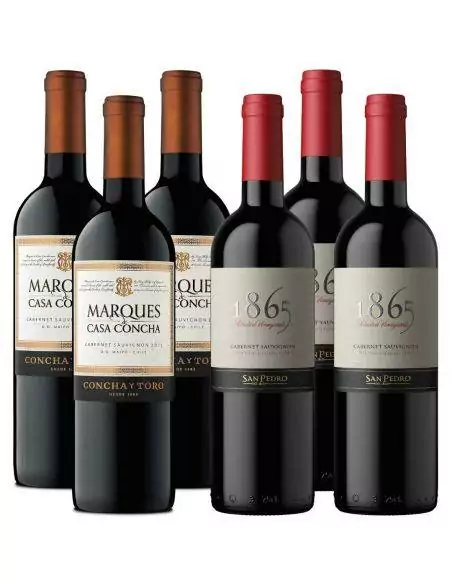 Pack Mix 6 Cabernet Sauvignon Premium 1865 y Marques de Casa Concha