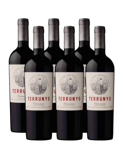 Pack 6 vinos Carmenere, Terrunyo, Viña Concha y Toro