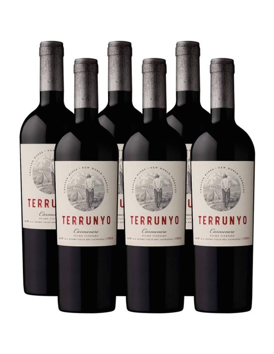 Pack 6 vinos Carmenere, Terrunyo, Viña Concha y Toro