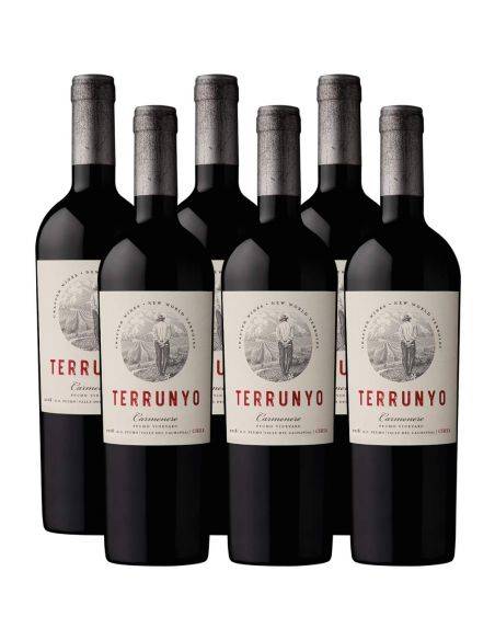Pack 6 vinos Carmenere, Terrunyo, Viña Concha y Toro