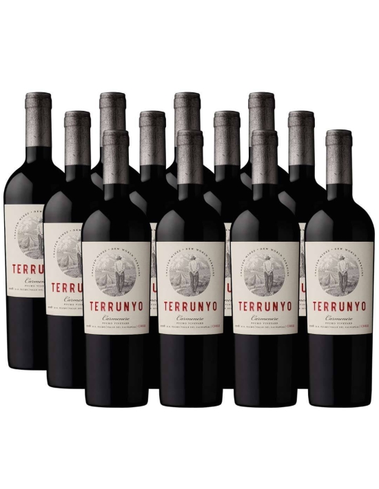 Pack 12 vinos Carmenere, Terrunyo, Viña Concha y Toro
