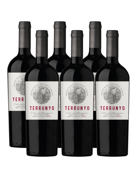 Pack 6 vinos Cabernet Sauvignon, Terrunyo, Viña Concha y Toro