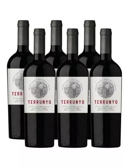 Pack 6 vinos Cabernet Sauvignon, Terrunyo, Viña Concha y Toro