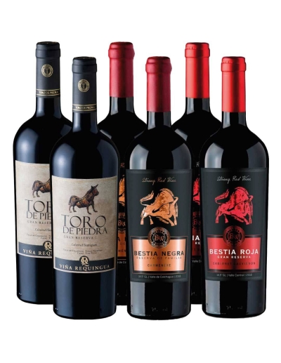 Pack 6 Bot Requingua Gran Reserva y Bestias Wines