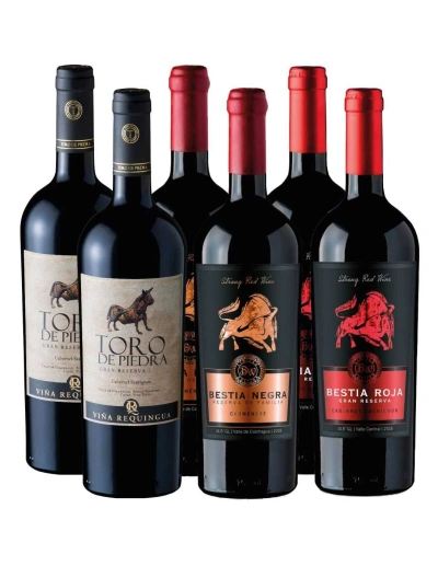 Pack 6 Bot Requingua Gran Reserva y Bestias Wines