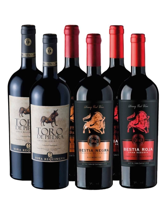 Pack 6 Bot Requingua Gran Reserva y Bestias Wines
