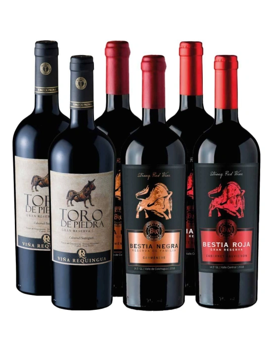 Pack 6 Bot Requingua Gran Reserva y Bestias Wines