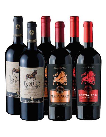 Pack 6 Bot Requingua Gran Reserva y Bestias Wines