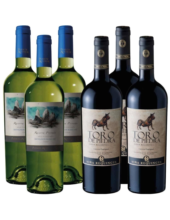 Pack Mix 6 Bot. Toro de Piedra Cab. Sauv y Puente Autral Sauv Blanc