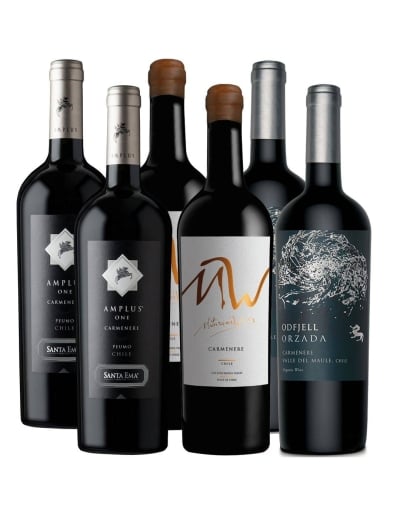 Pack 6 Vinos Carmenere Premium MW, Amplus y Orzada - 1
