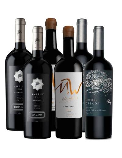 Pack 6 Vinos Carmenere Premium MW, Amplus y Orzada - 1