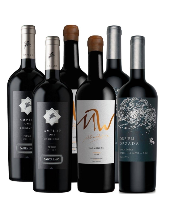 Pack 6 Vinos Carmenere Premium MW, Amplus y Orzada - 1
